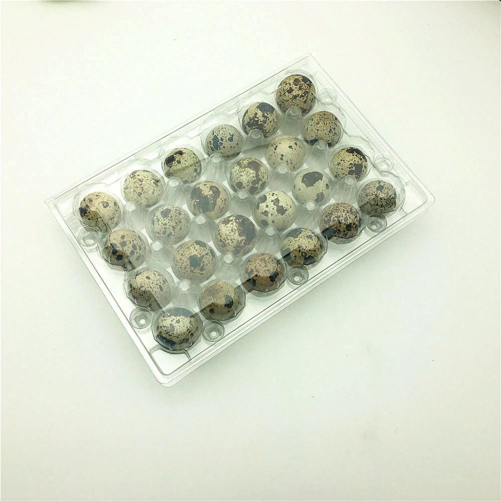 Transparent Blister Plastic Pet 20holes Quail Egg Packaging Tray